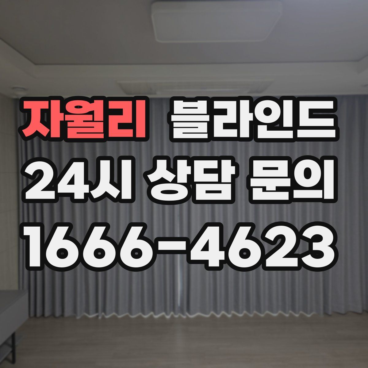 자월리 블라인드