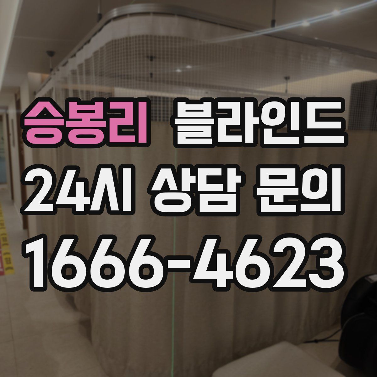 승봉리 블라인드