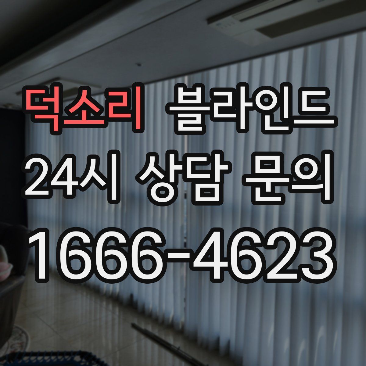 덕소리 블라인드
