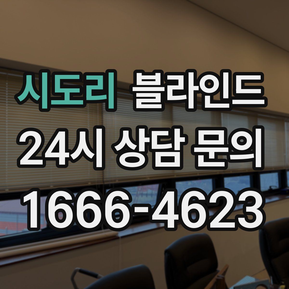 시도리 블라인드
