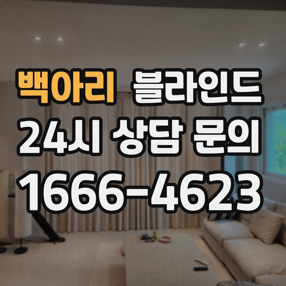 백아리 블라인드