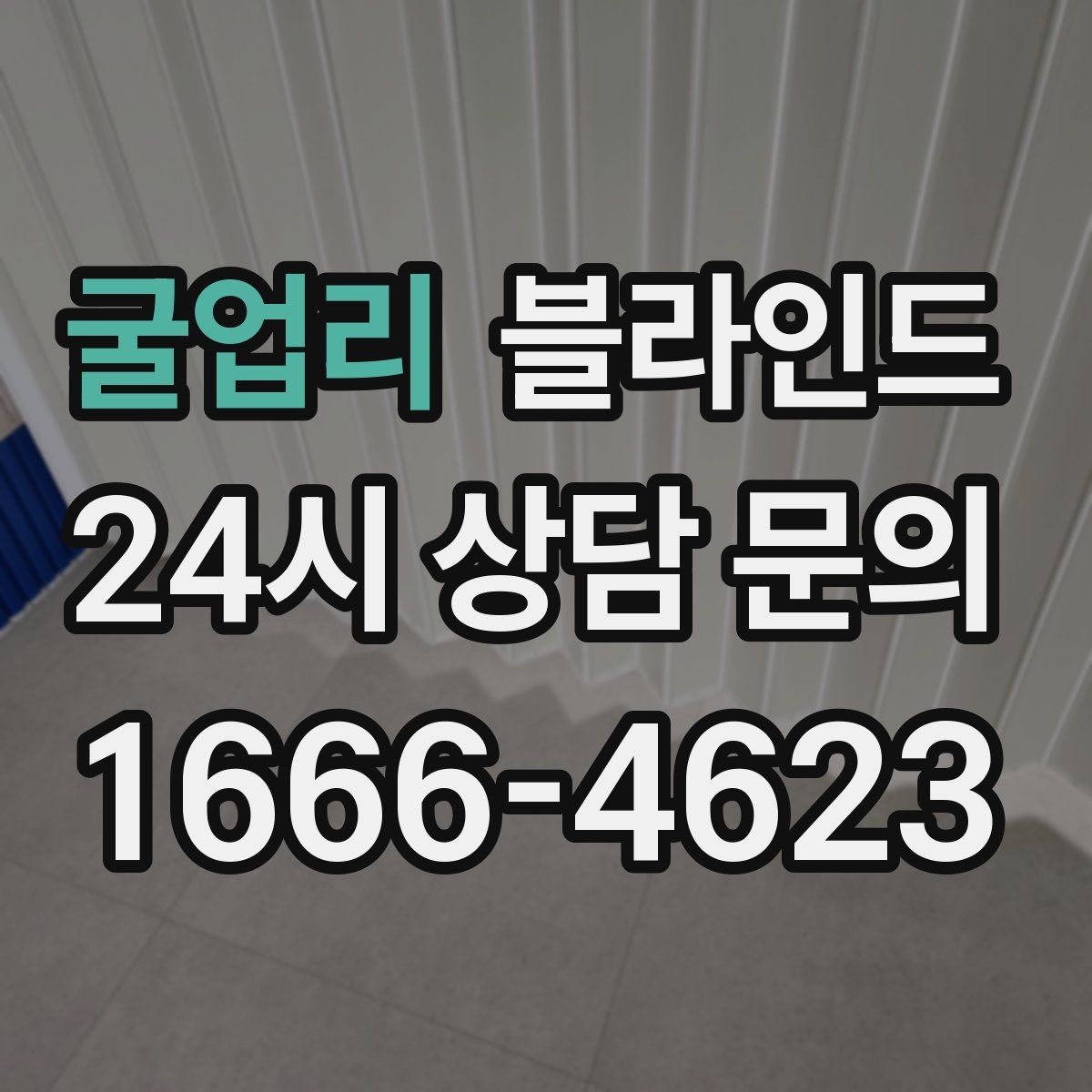 굴업리 블라인드