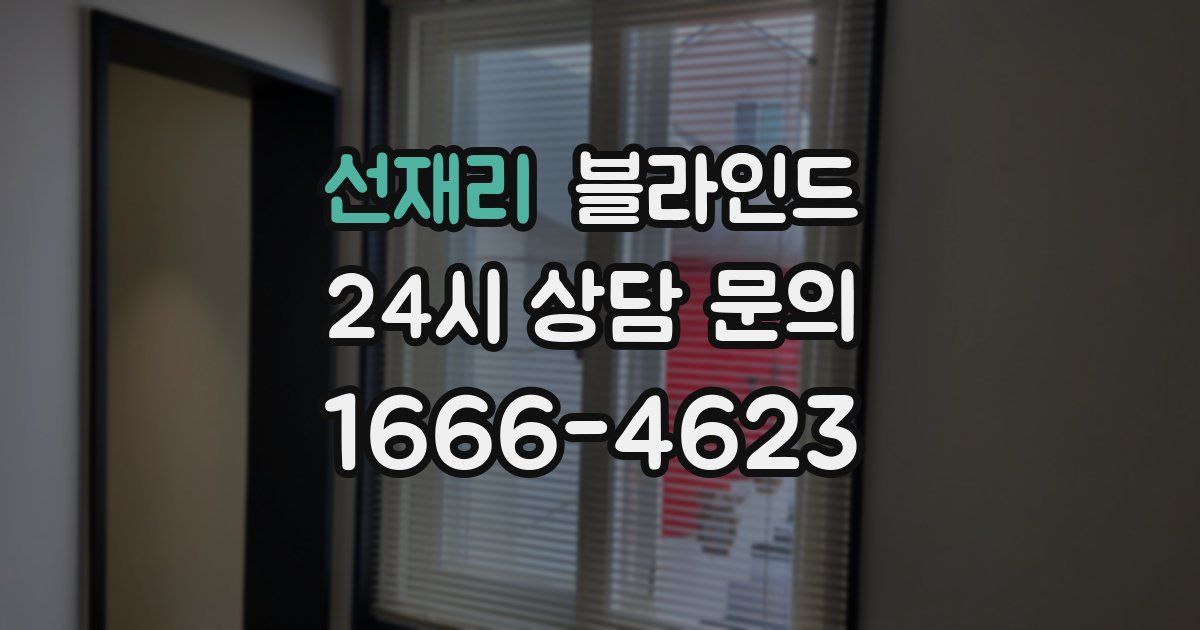 선재리 블라인드