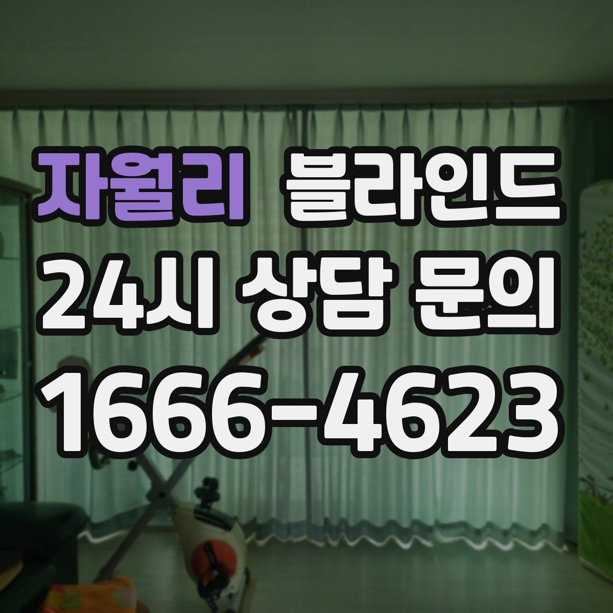 자월리 블라인드