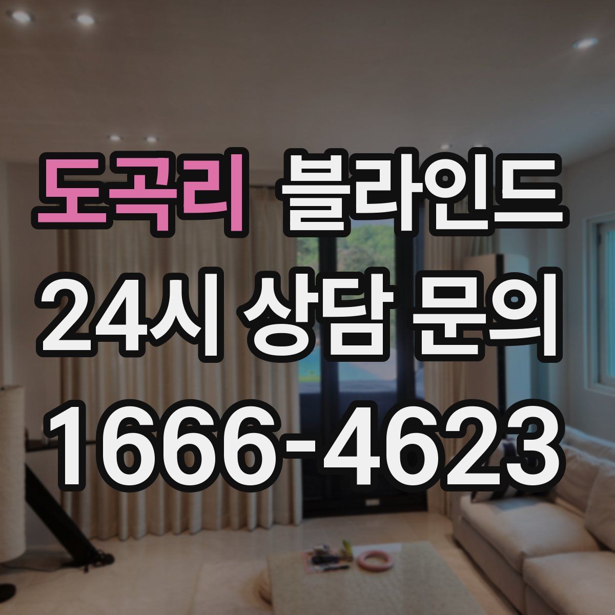 도곡리 블라인드