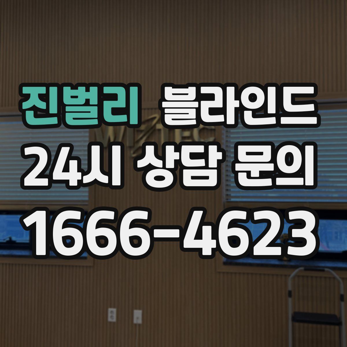진벌리 블라인드