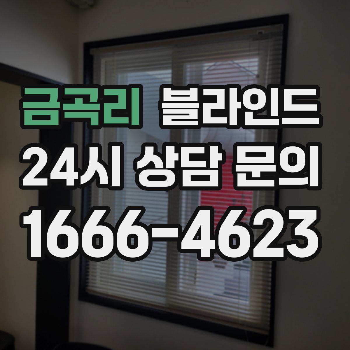금곡리 블라인드