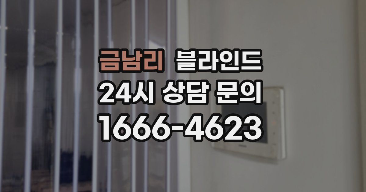 금남리 블라인드