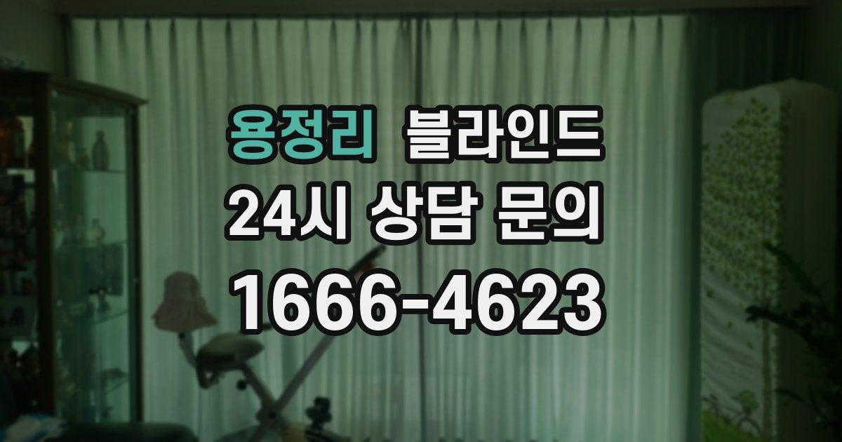 용정리 블라인드