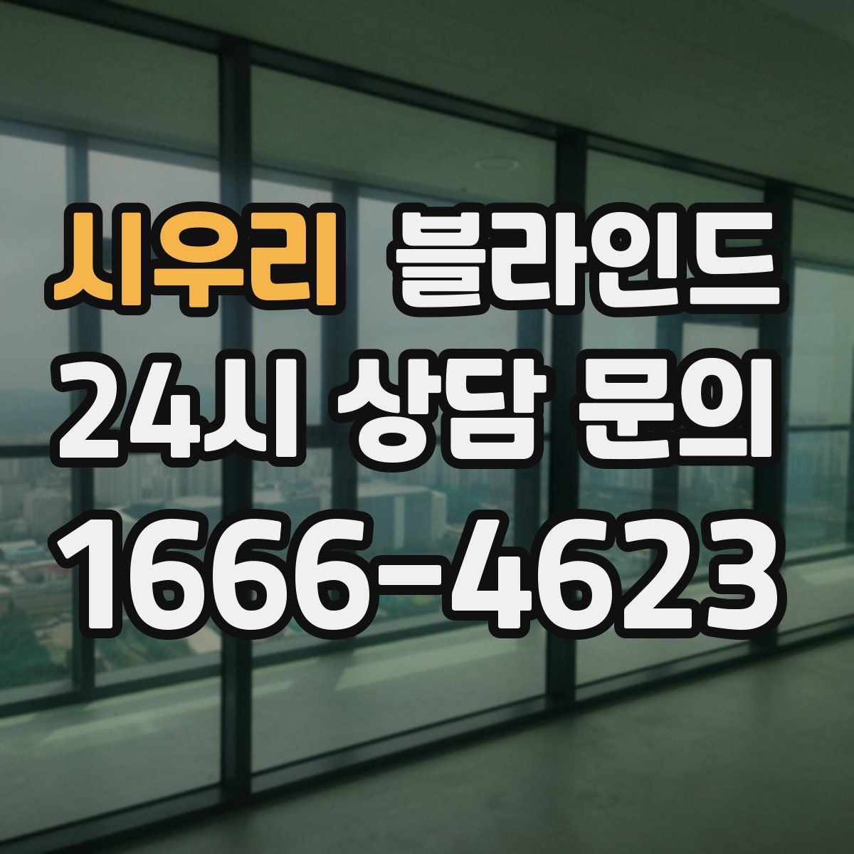 시우리 블라인드