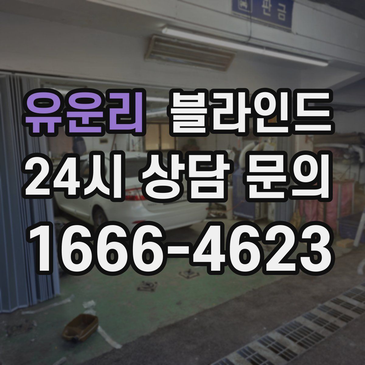 유운리 블라인드
