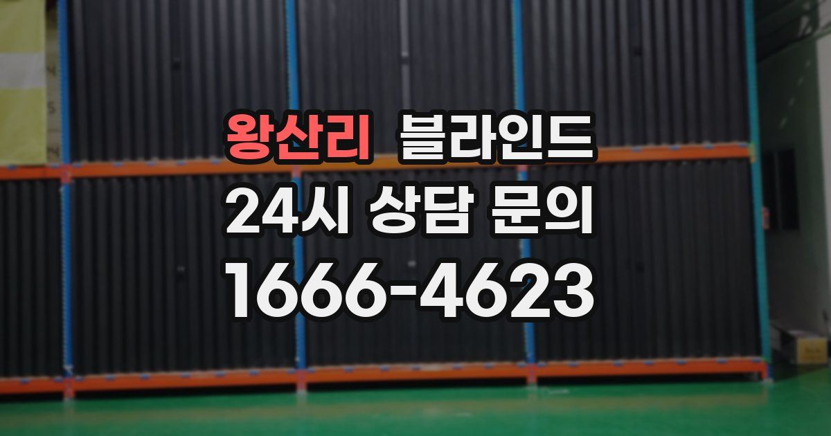 왕산리 블라인드