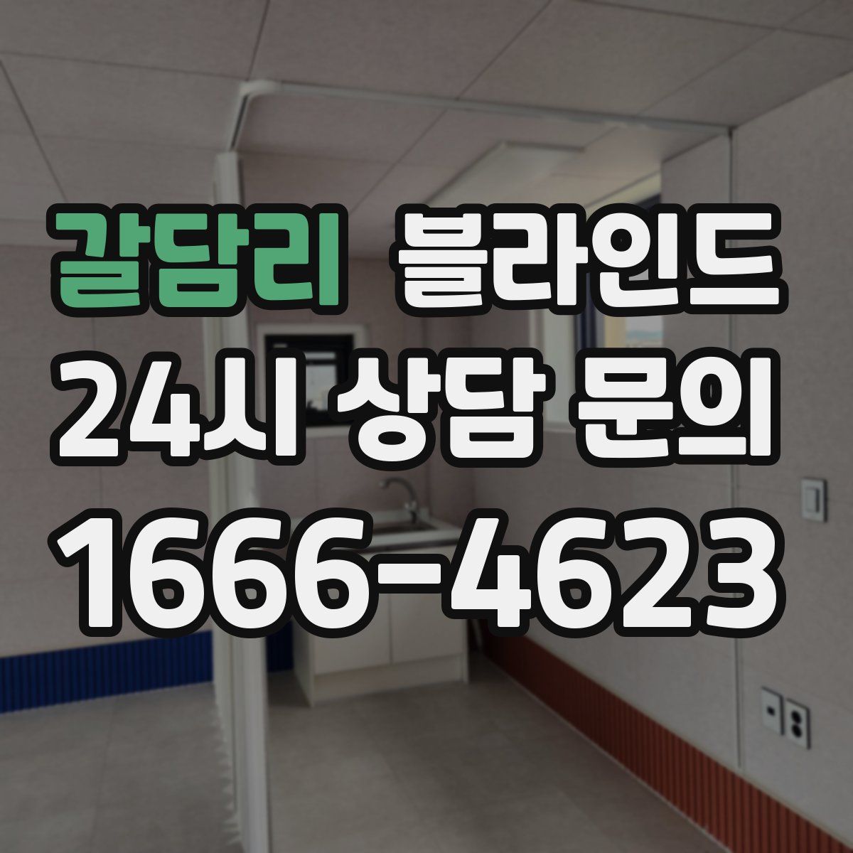 갈담리 블라인드