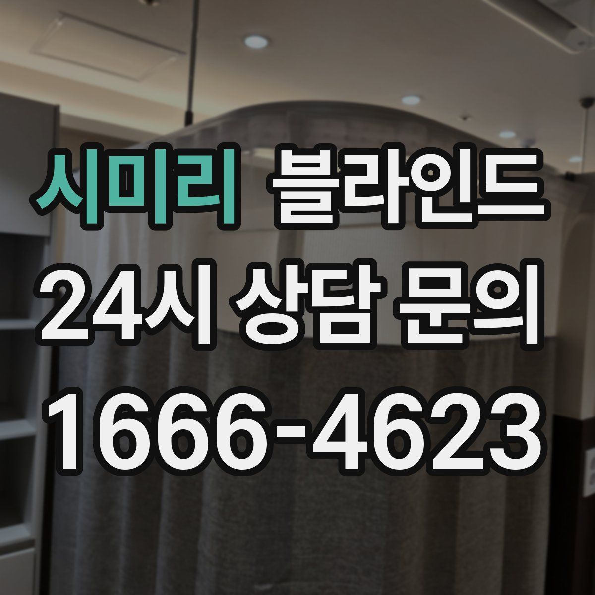 시미리 블라인드