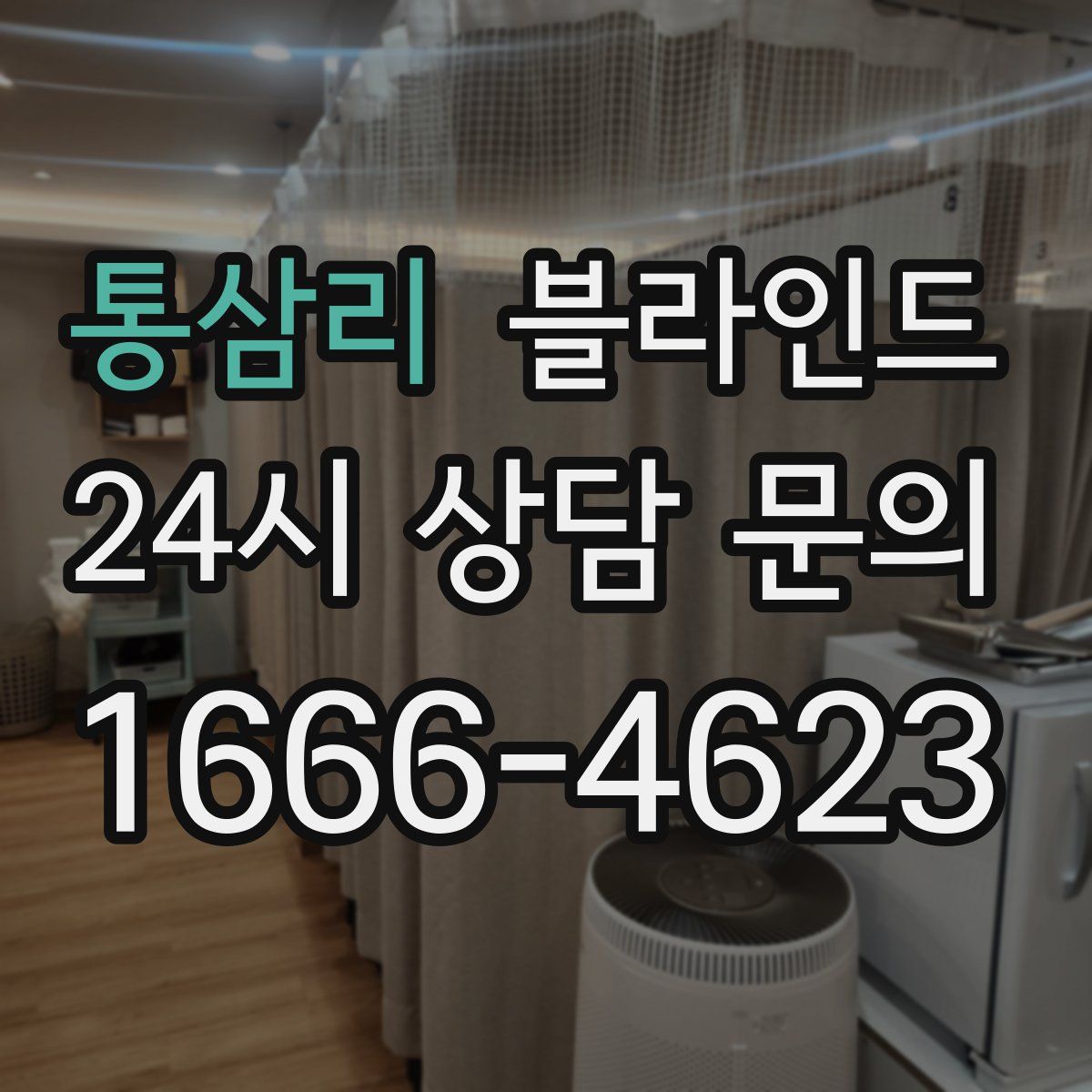 통삼리 블라인드