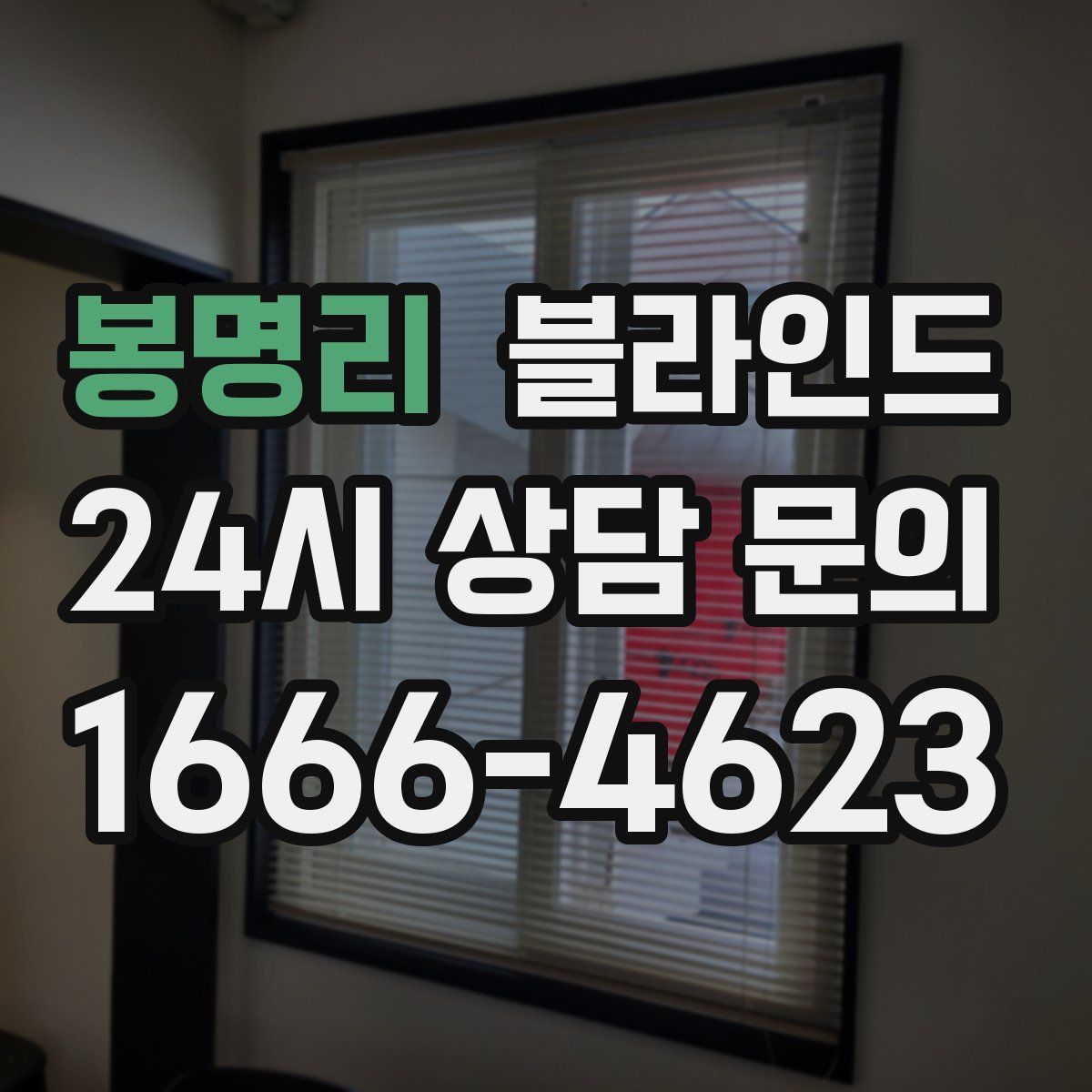 봉명리 블라인드