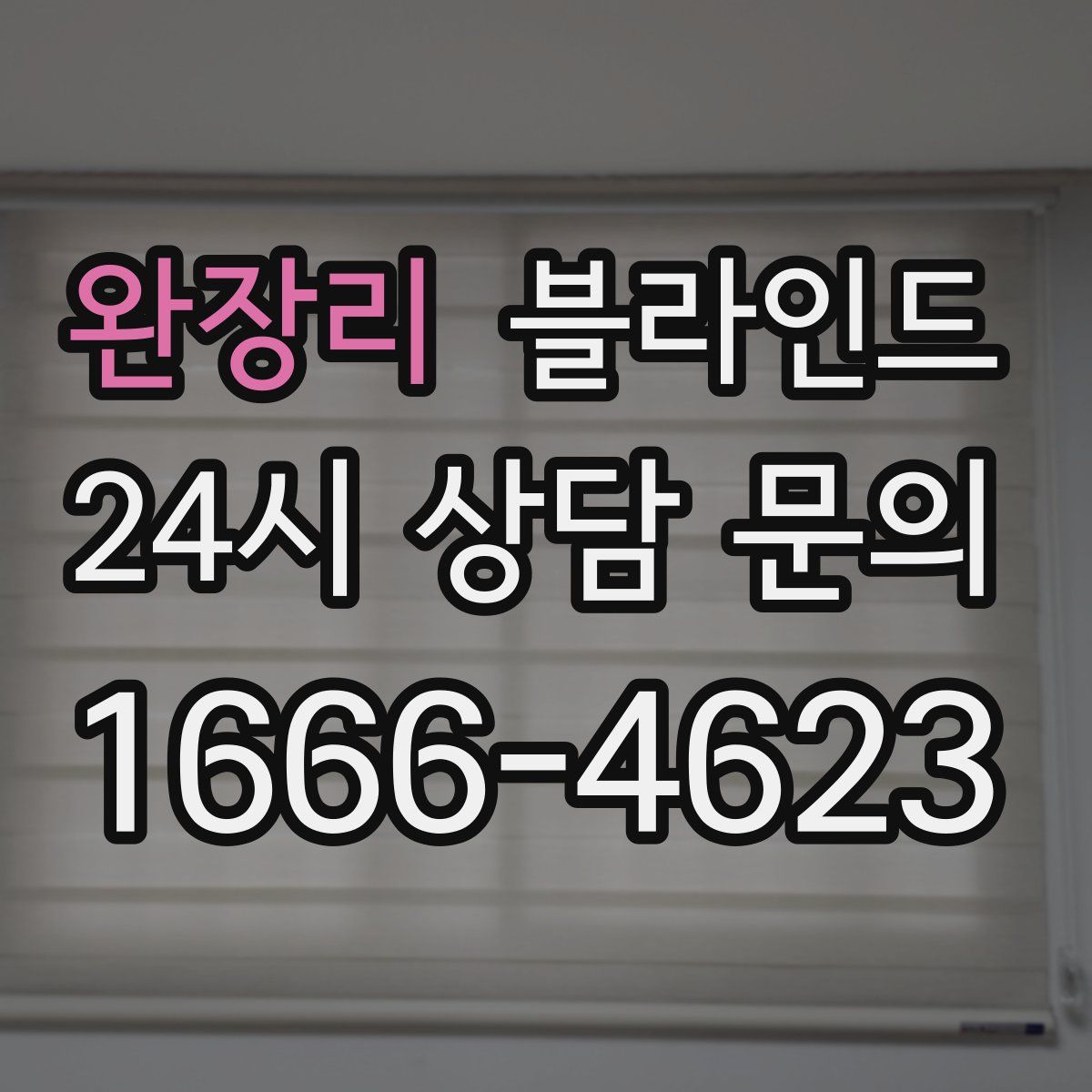 완장리 블라인드