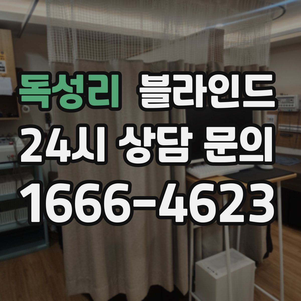 독성리 블라인드