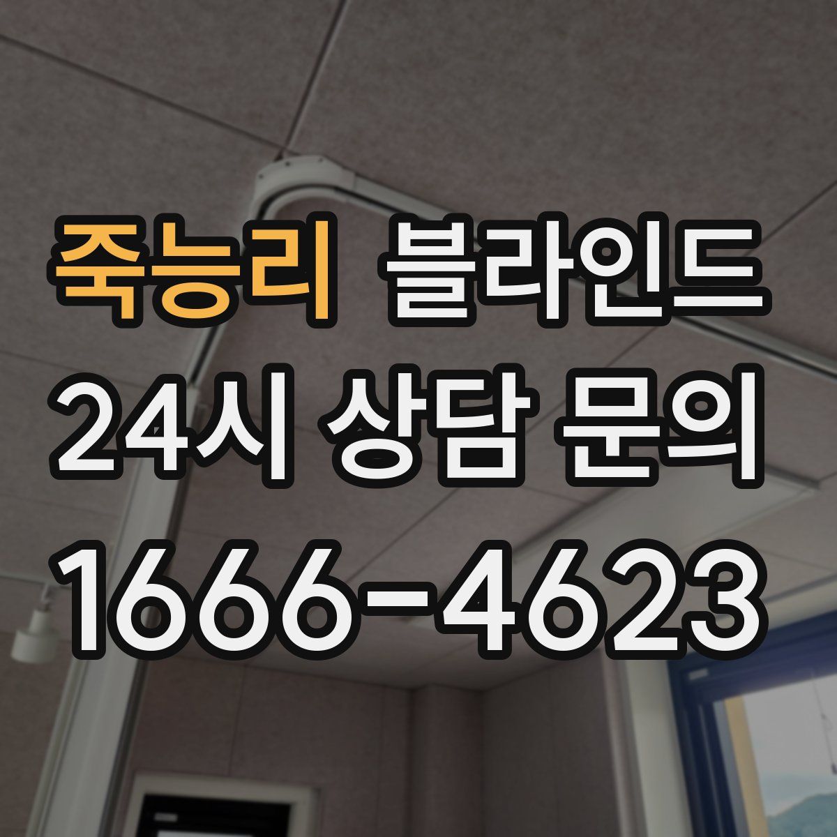 죽능리 블라인드