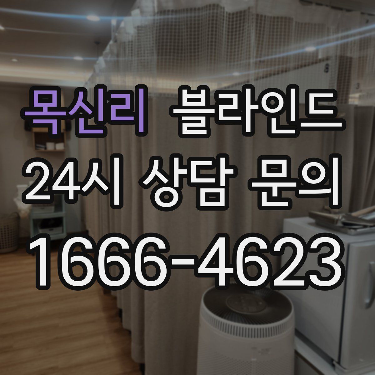 목신리 블라인드