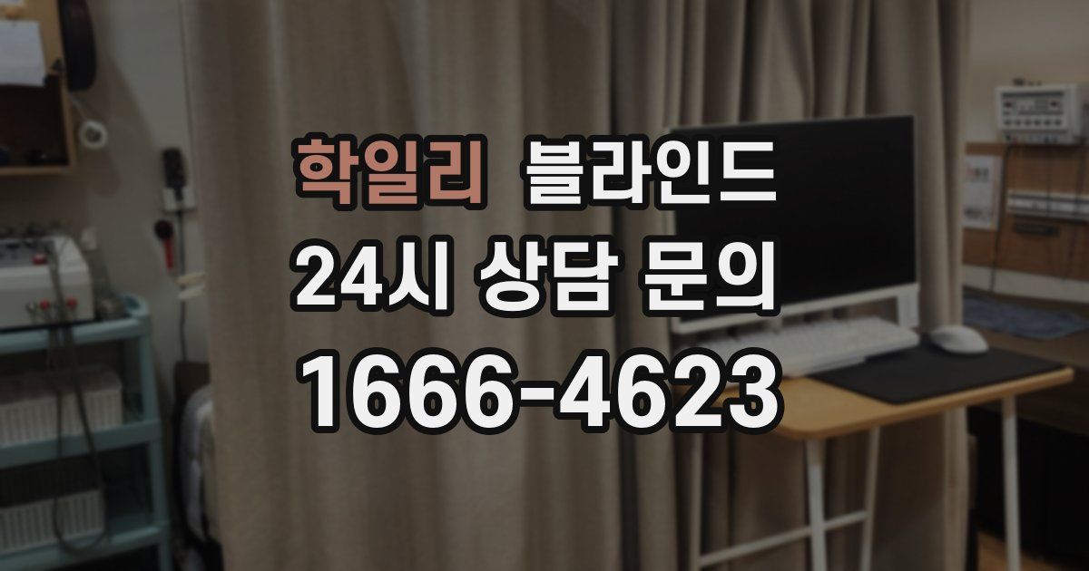 학일리 블라인드