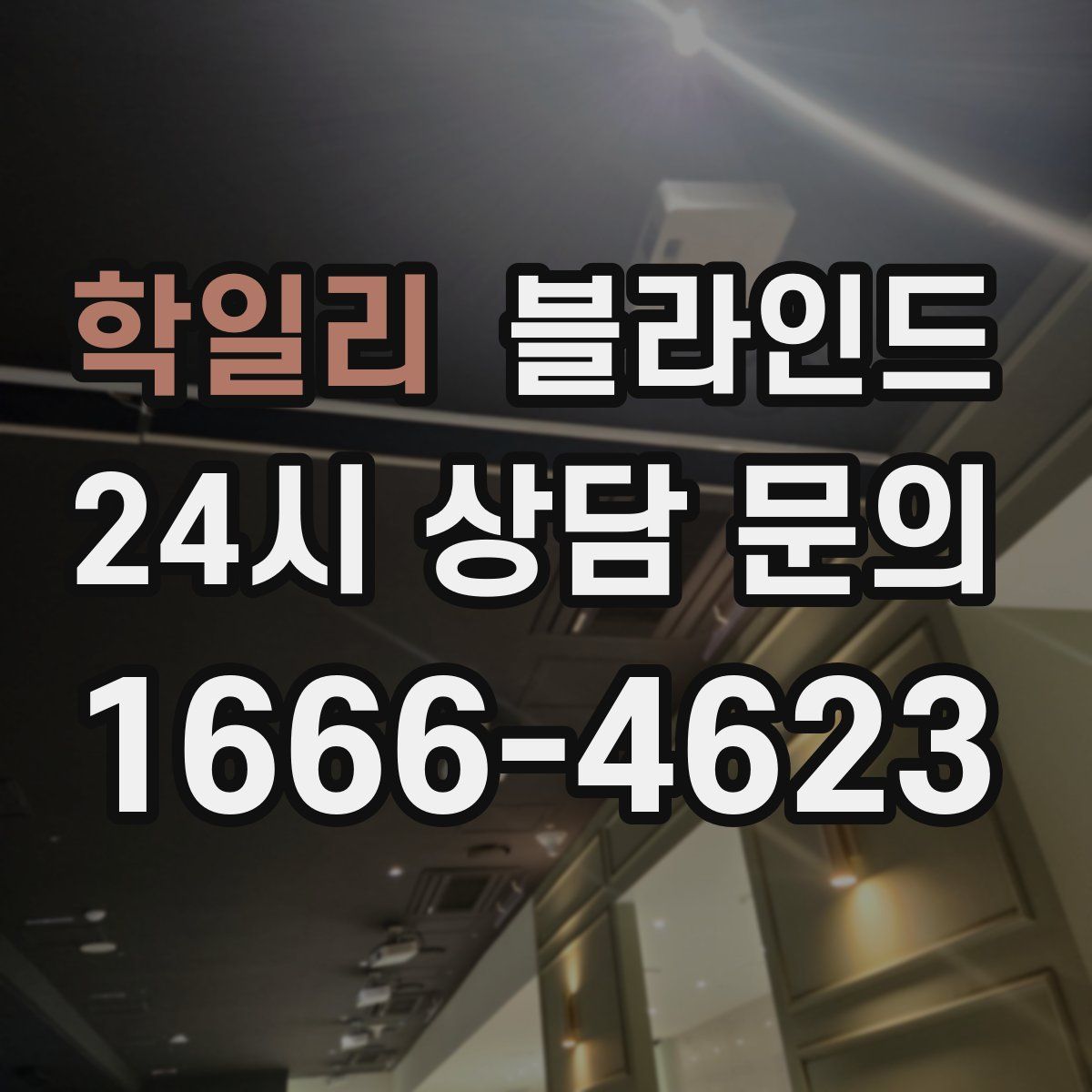 학일리 블라인드