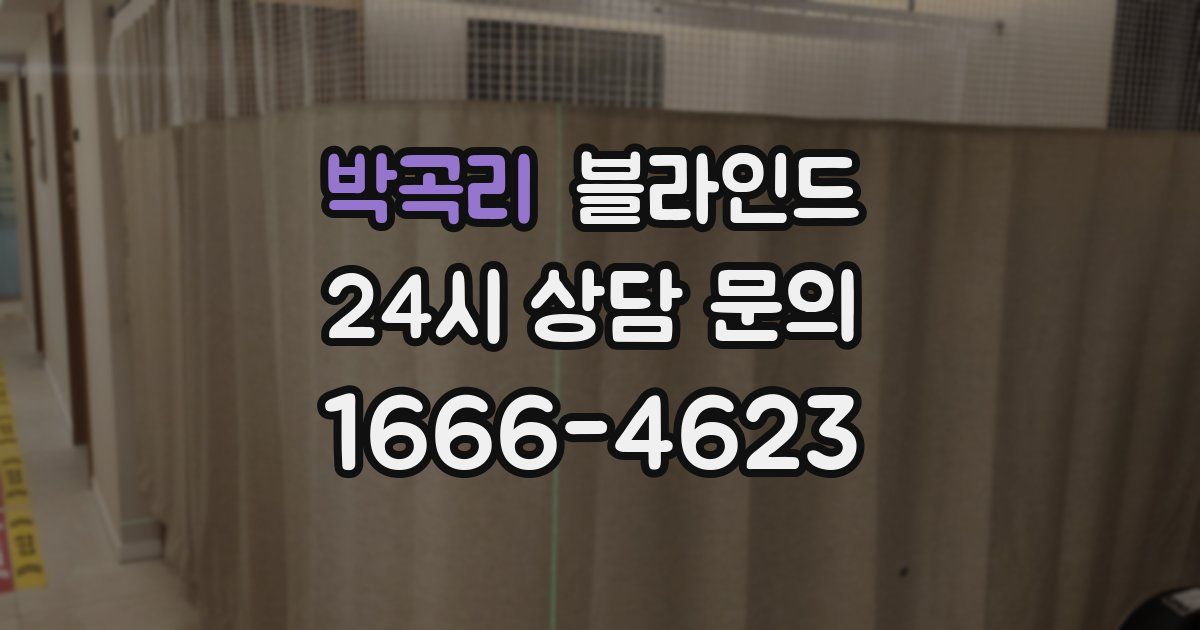 박곡리 블라인드