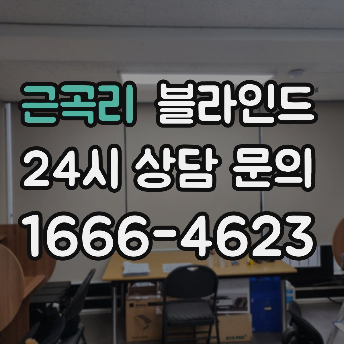 근곡리 블라인드