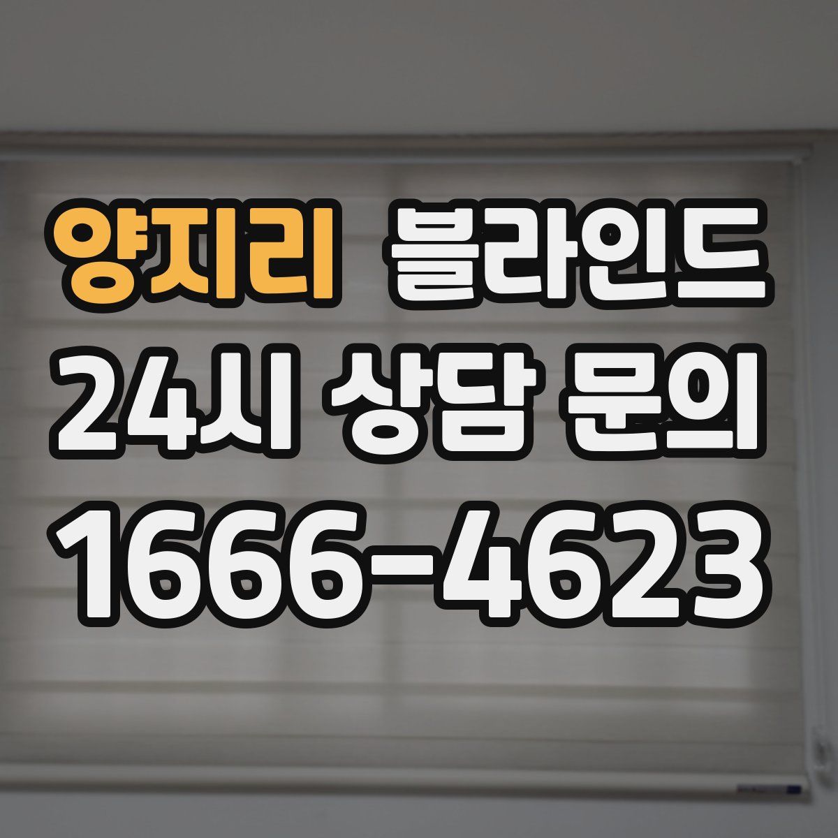 양지리 블라인드