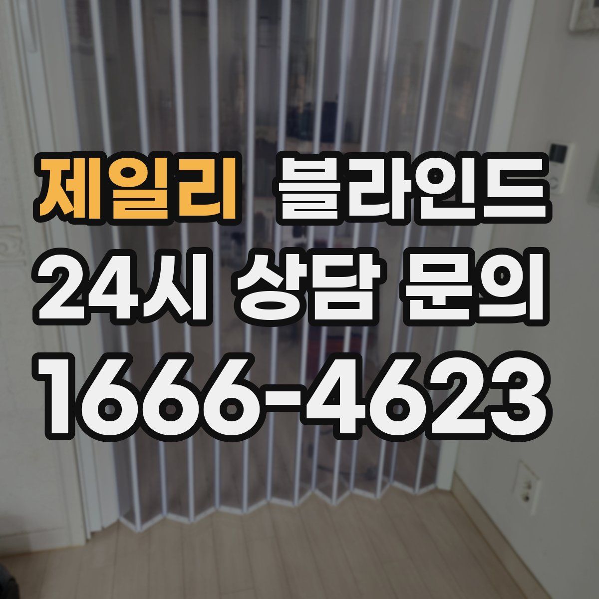 제일리 블라인드