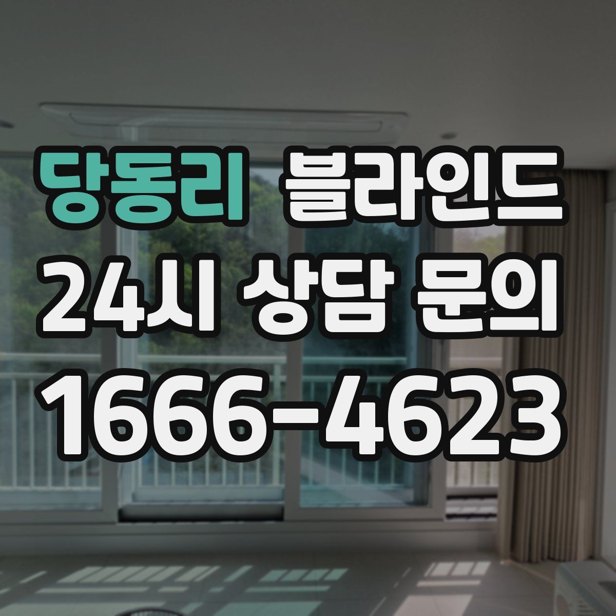 당동리 블라인드