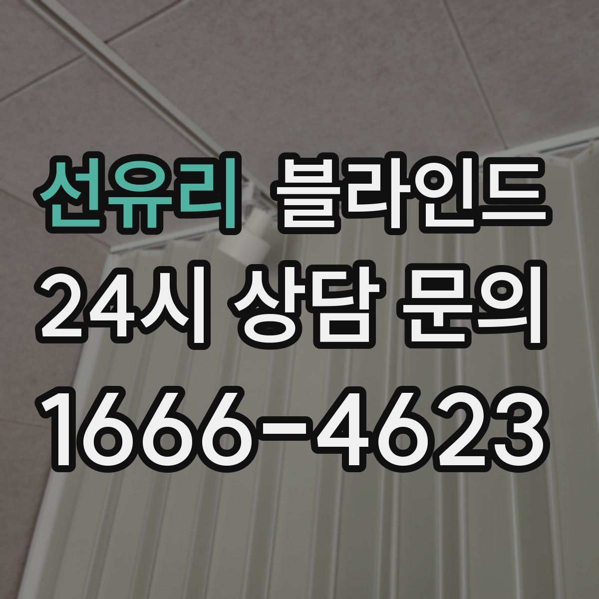 선유리 블라인드