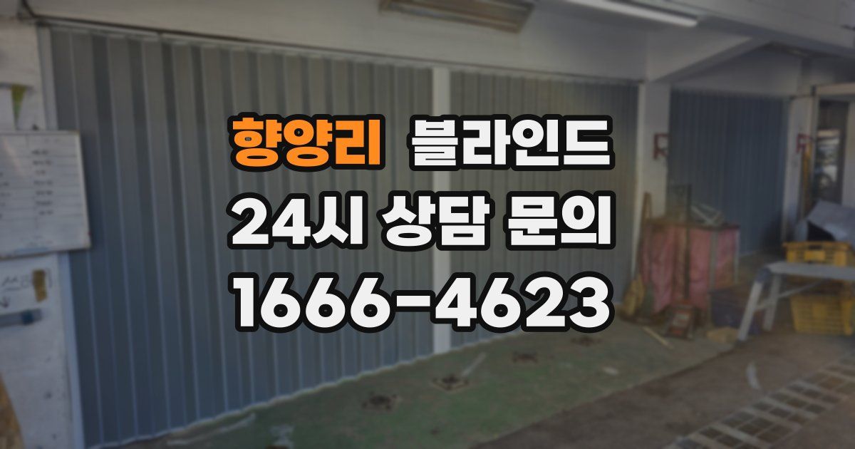 향양리 블라인드