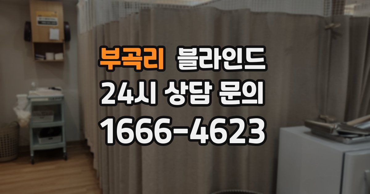 부곡리 블라인드