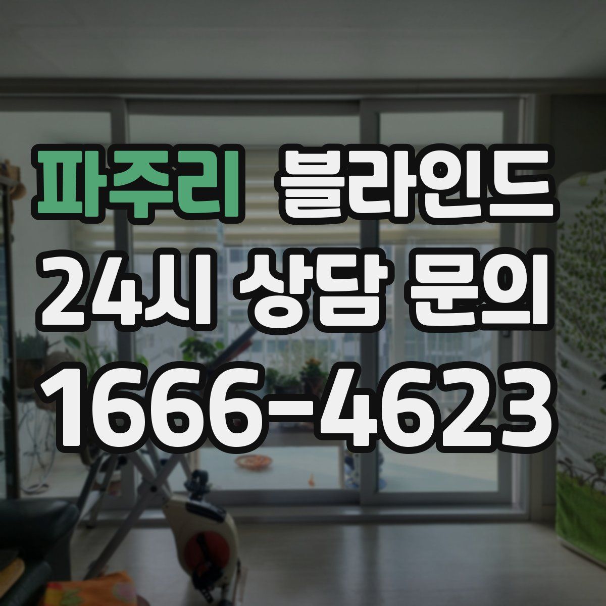 파주리 블라인드