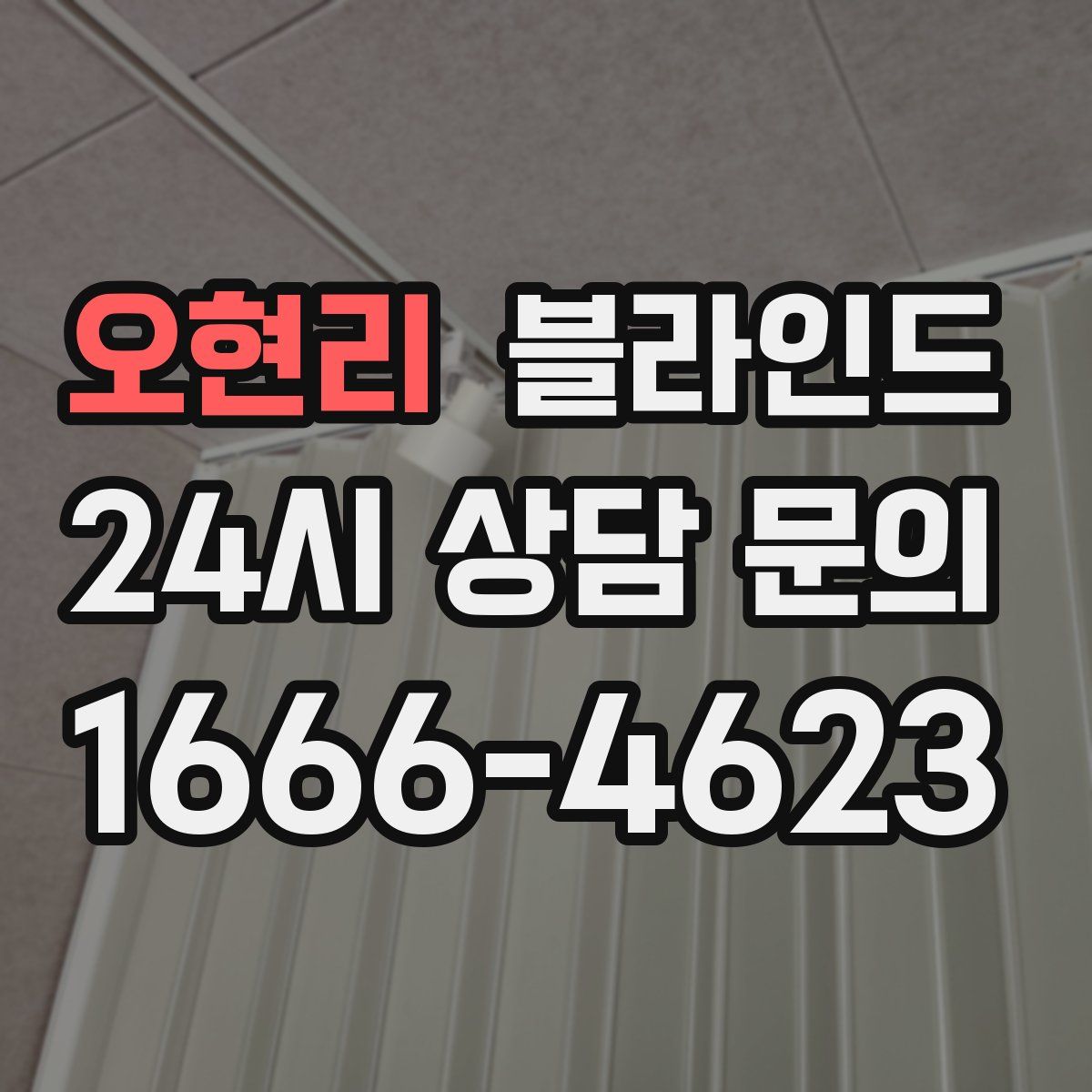 오현리 블라인드