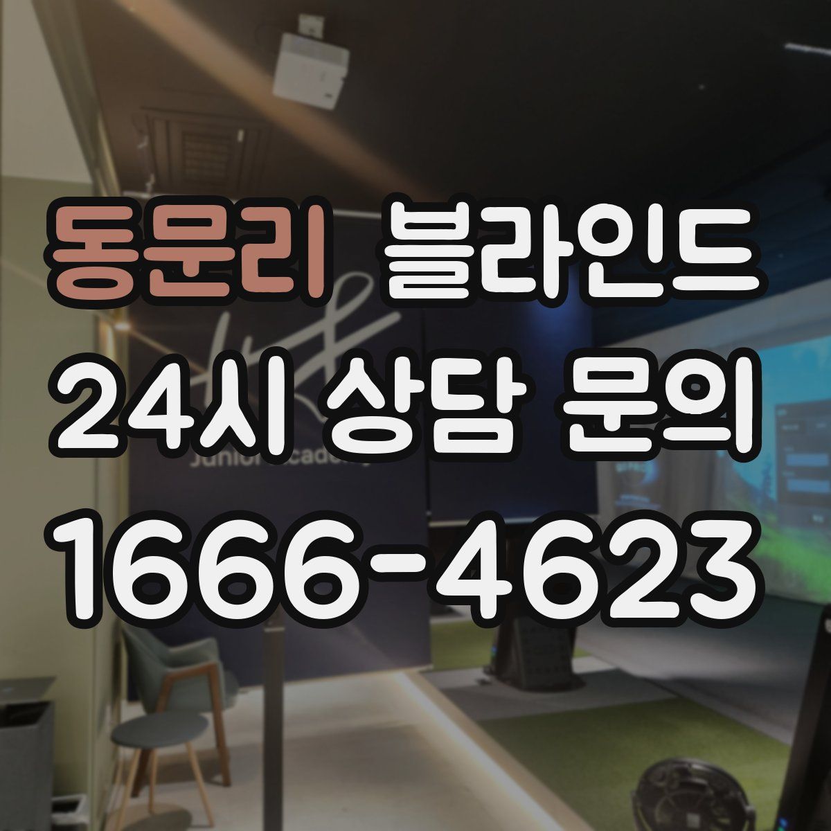 동문리 블라인드