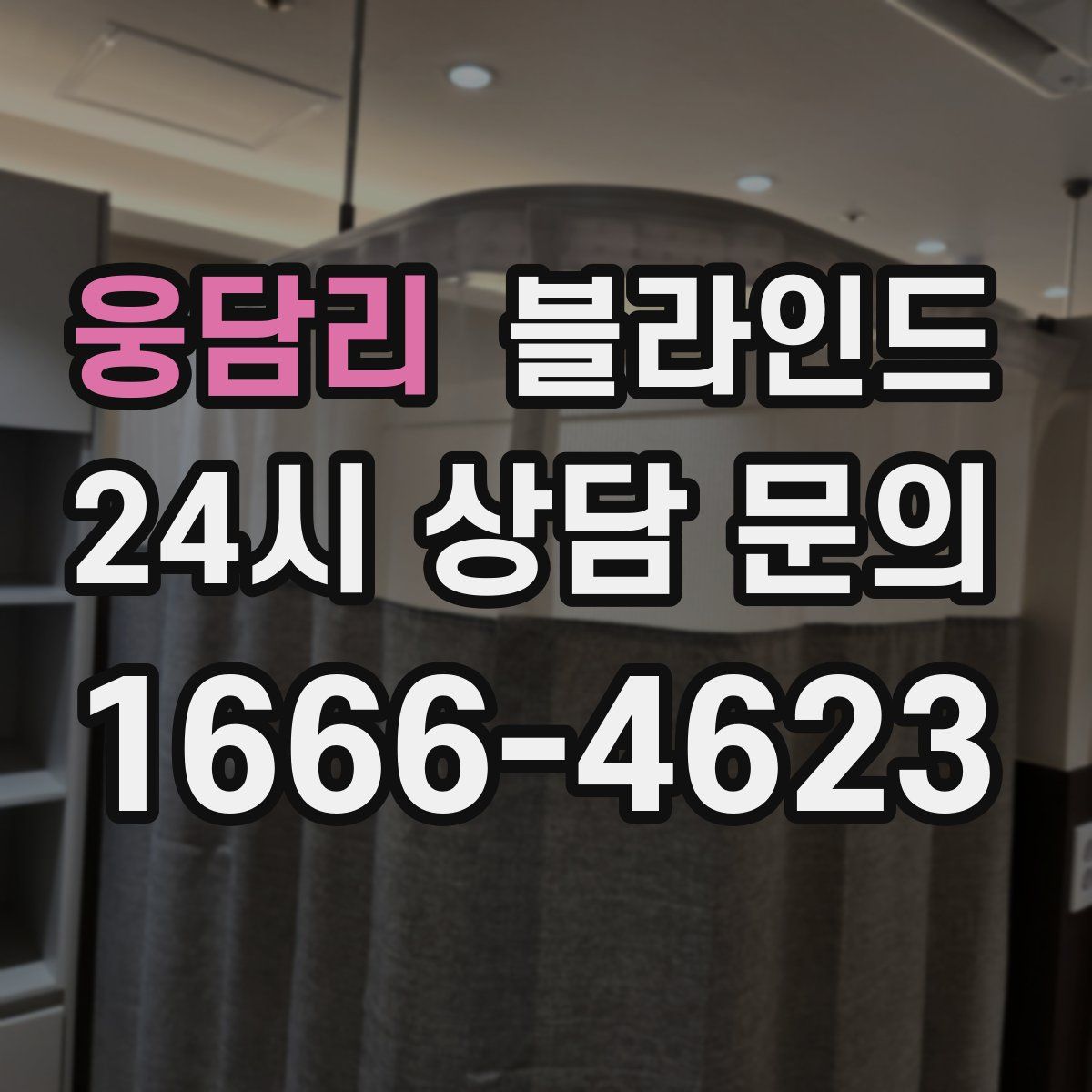 웅담리 블라인드