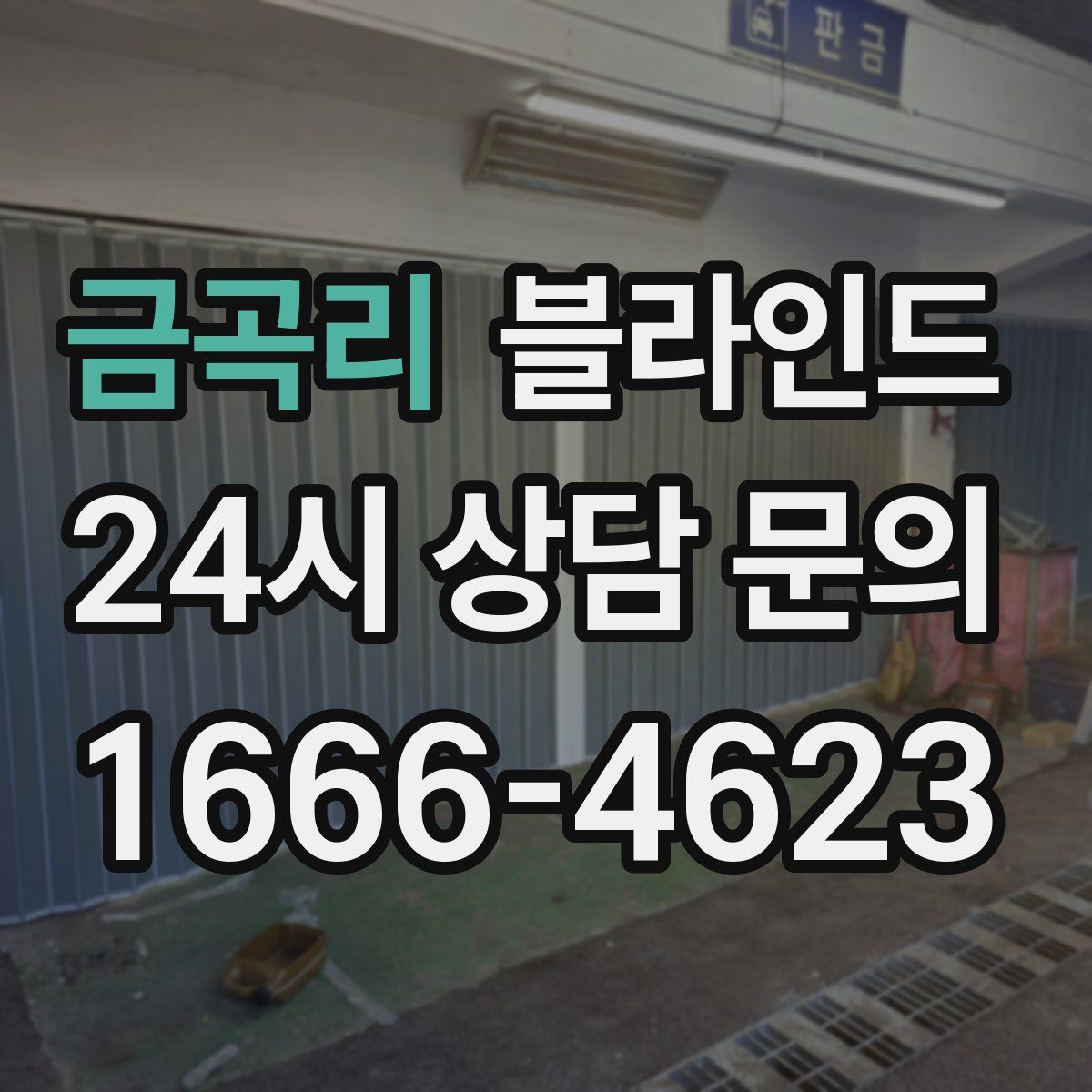 금곡리 블라인드