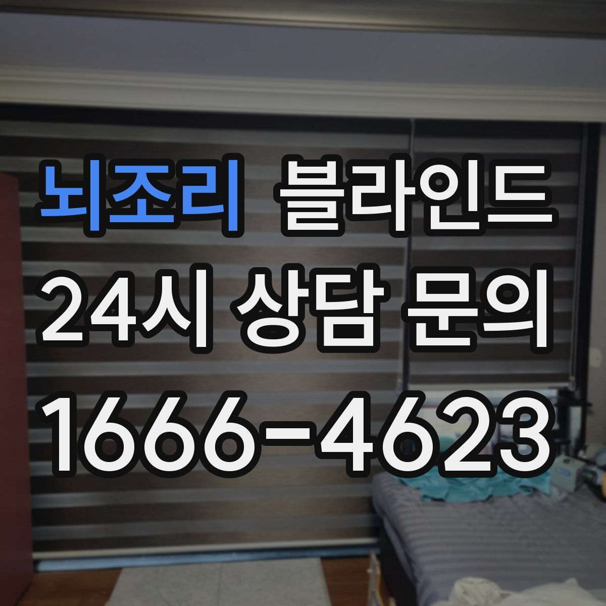 뇌조리 블라인드