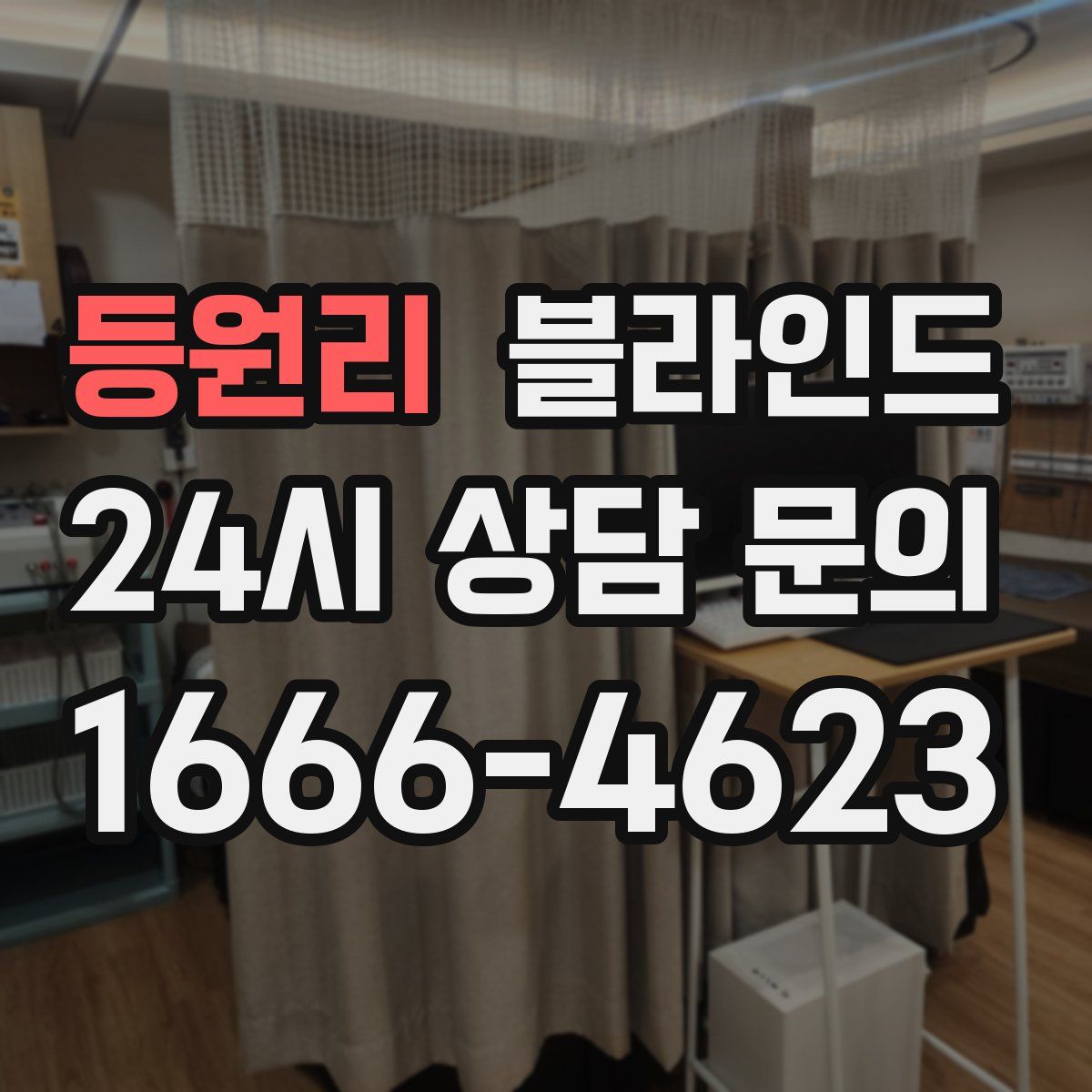 등원리 블라인드