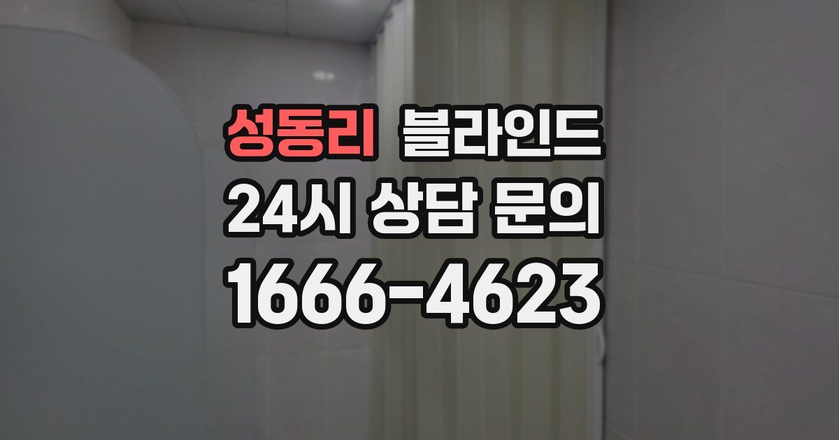 성동리 블라인드