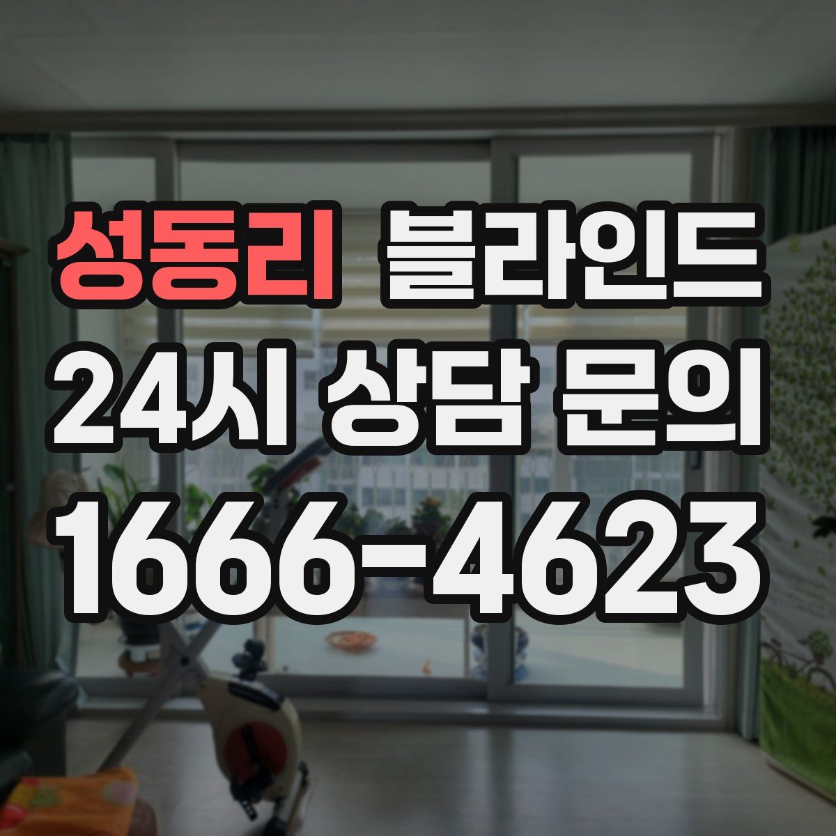 성동리 블라인드