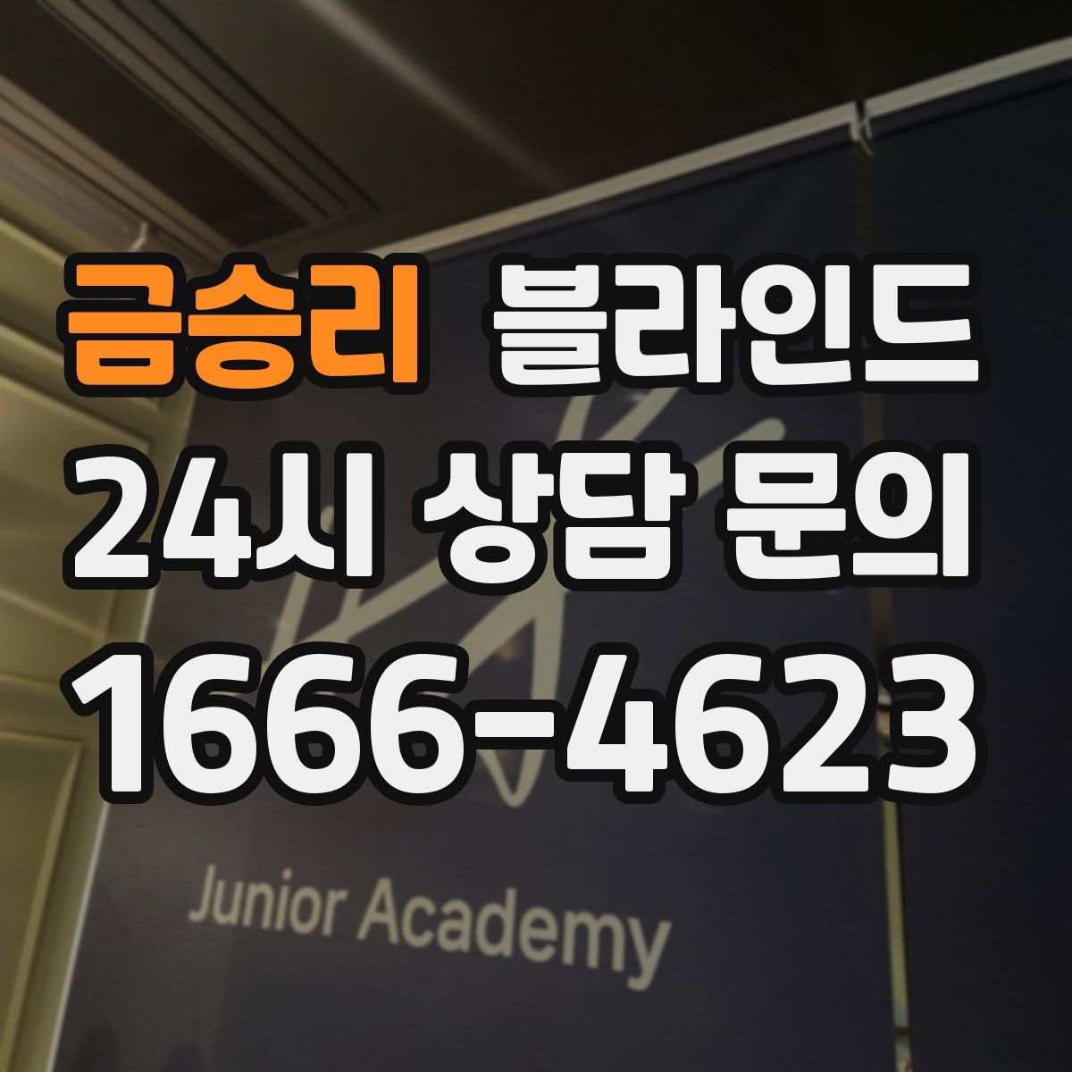 금승리 블라인드