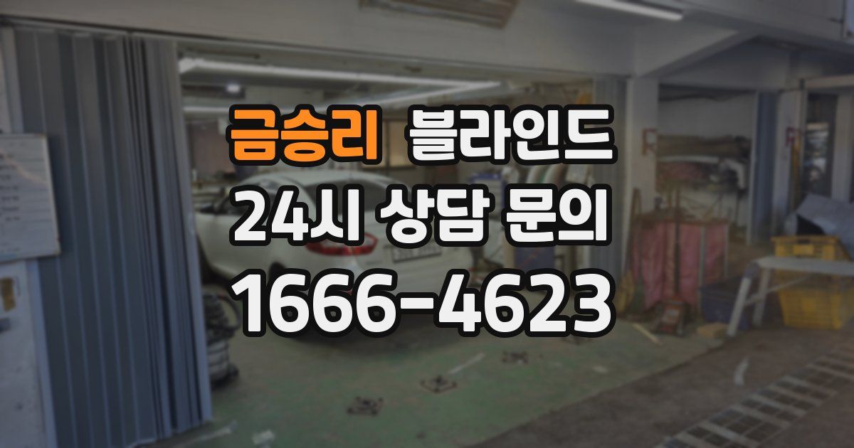 금승리 블라인드