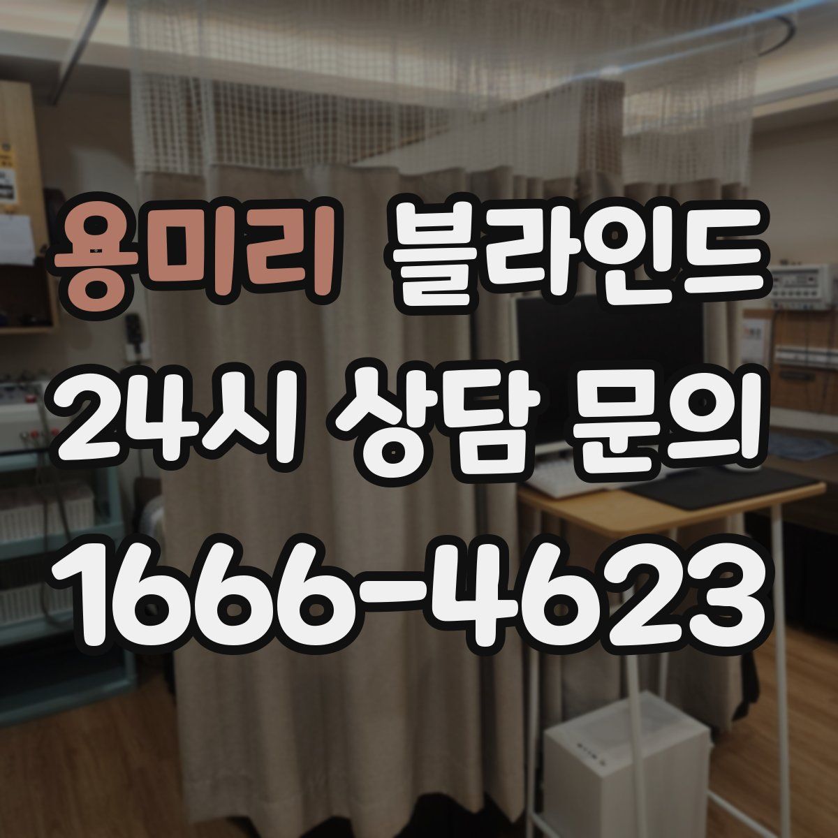 용미리 블라인드