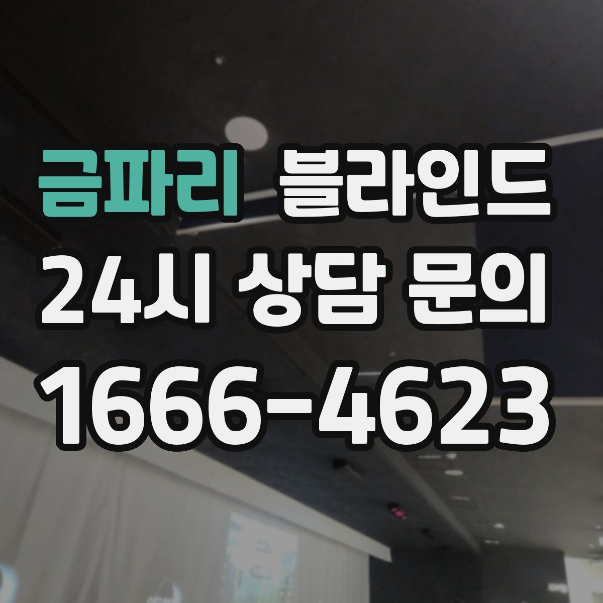 금파리 블라인드