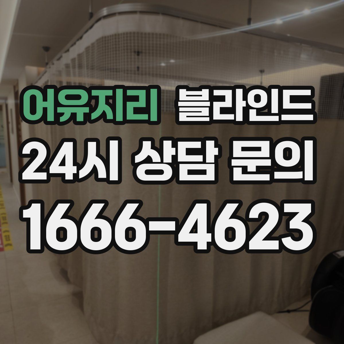 어유지리 블라인드