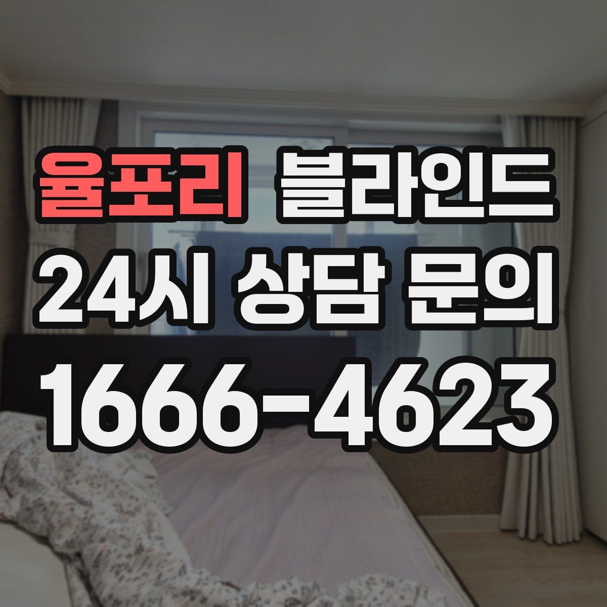 율포리 블라인드