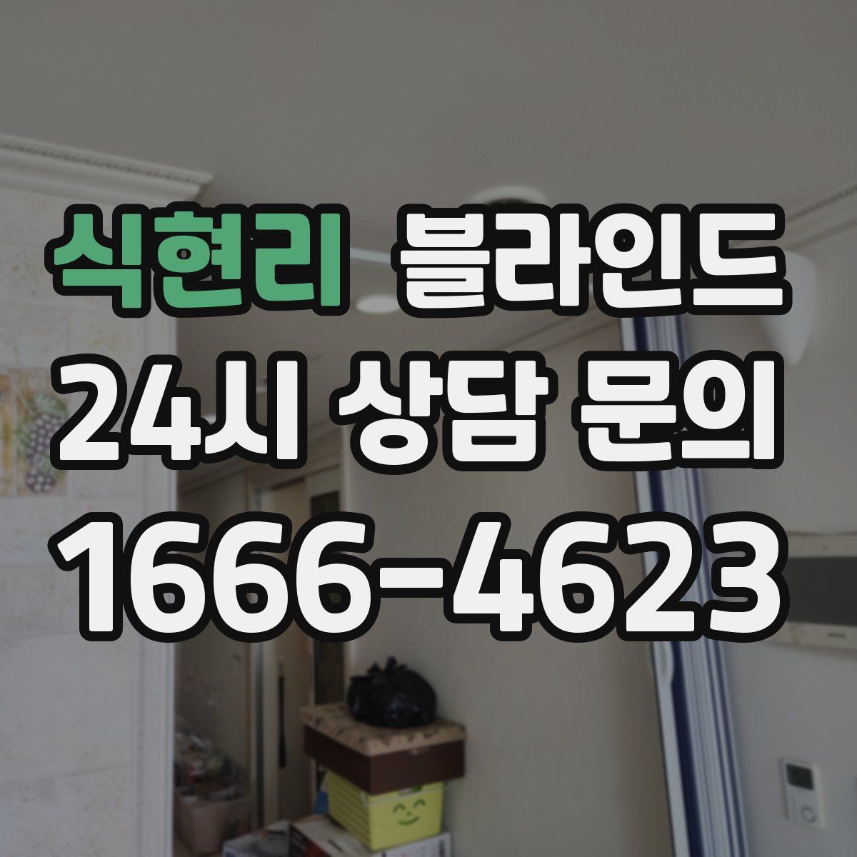 식현리 블라인드